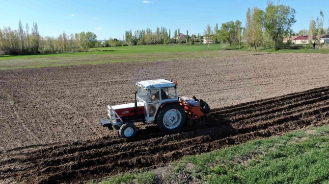 On Binlerce Tohumluk Patatesi Elleriyle Toprakla Buluşturdular