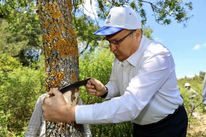 Yunusemre’de 2022 Yılı Aşılama Çalışmaları Başladı