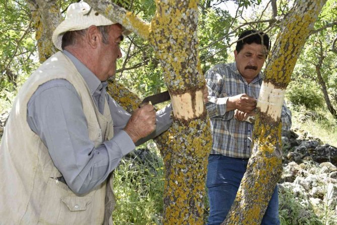 Yunusemre’de 2022 Yılı Aşılama Çalışmaları Başladı