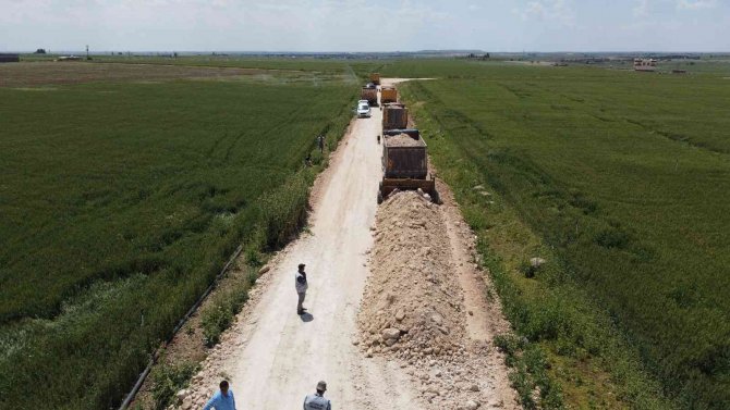 Ceylanpınar’da Yeni Yol Çalışması