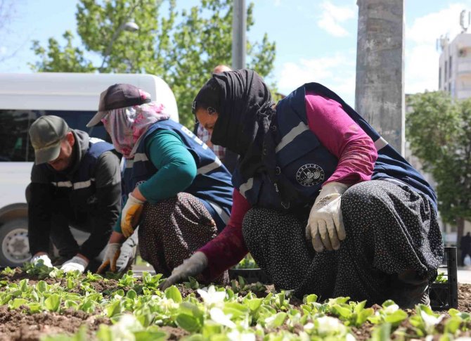 Elazığ, Kadın Eliyle Güzelleşiyor