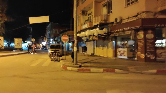 Hatay’da Kaçan Dana Ortalığı Birbirine Kattı