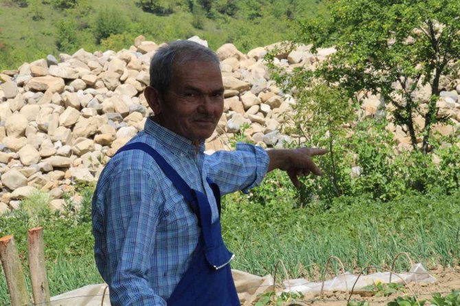 Emekli Madenci Hayatını Tarıma Adadı; Şimdi Siparişe Yetişemiyor