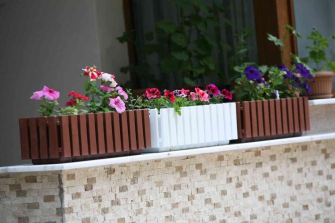 Eskişehir’in Balkonları Çiçek Açtı
