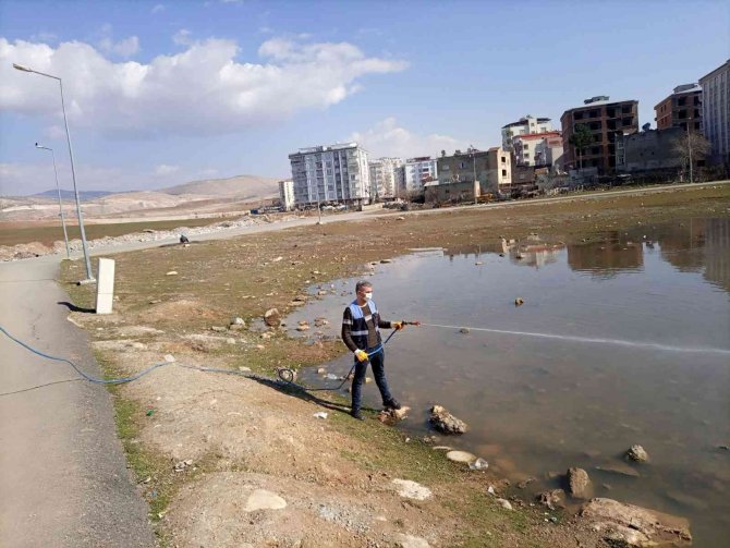 Siirt Belediyesi Haşere İle Mücadele Çalışmalarını Yoğunlaştırdı
