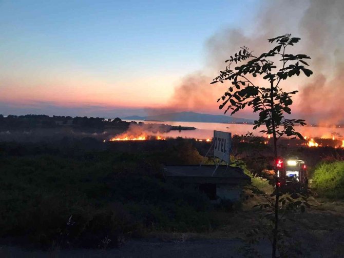 Aliağa’da Sazlık Alanda Yangın