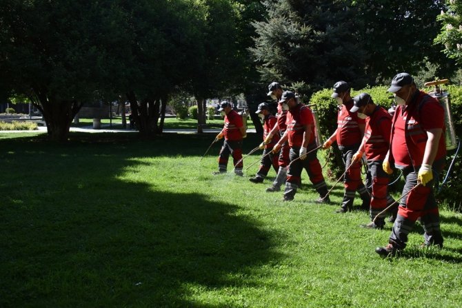 Kocasinan’dan Huzurlu Bir Yaz İçin Haşere İle Mücadele