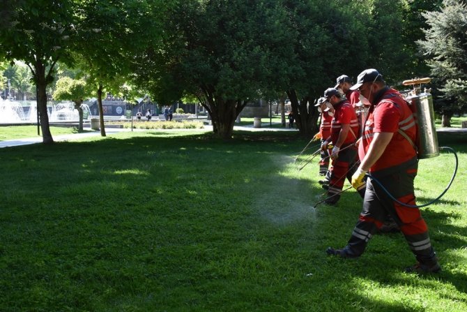 Kocasinan’dan Huzurlu Bir Yaz İçin Haşere İle Mücadele