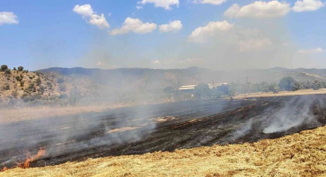Milas’ta Arazi Yangını