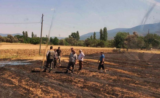 Milas’ta Arazi Yangını