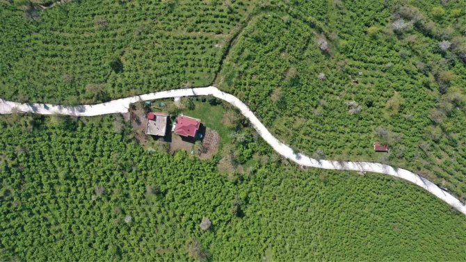 Altınordu’da İki Mahalle Daha Beton Yol Konforuna Kavuştu