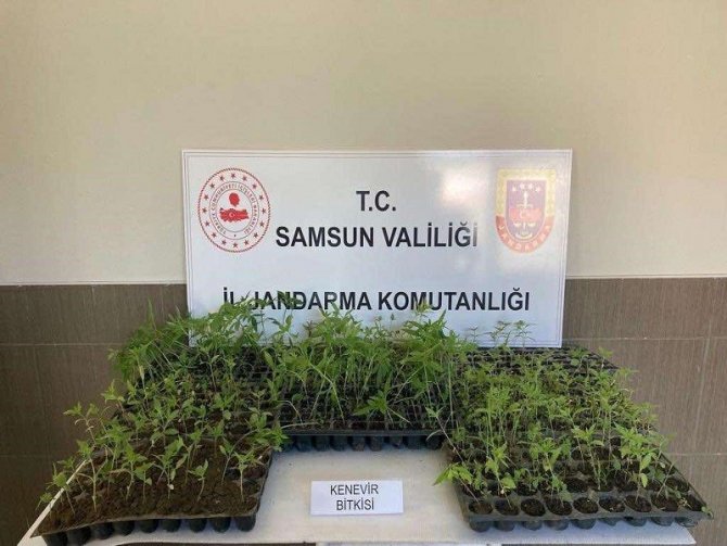 16 Olayda 22 Şüpheli Gözaltına Alındı