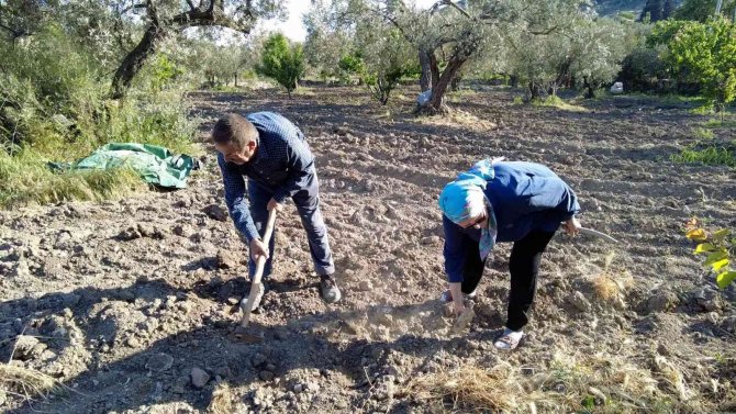 Akılalmaz Olay: Renkli Tapuyla Kapora Vurgunu