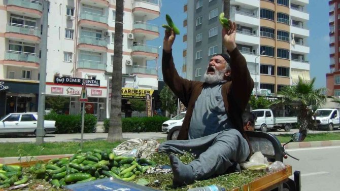 Parası Olmayana Bedava... Hem Hayat Dersi Verdi Hem Ucuza Salatalık Sattı
