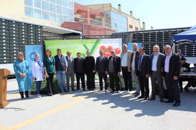 Akyurt’ta 1 Milyon Sebze Fidesi Dağıtıldı