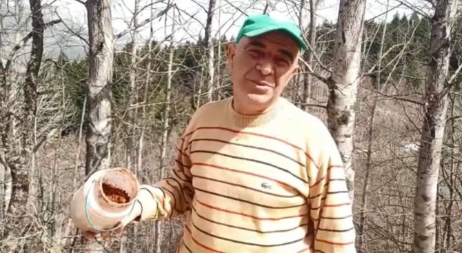 Ormandan Topladıkları Zararlı Böcekler Gelir Kapıları Oldu