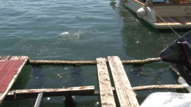 Kanlıca Sahilinde Suyun Rengi Değişti: ’Kanalizasyon Borusu Patladı’ İddiası