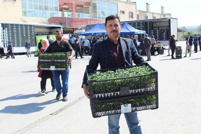 Akyurt’ta 1 Milyon Sebze Fidesi Dağıtıldı