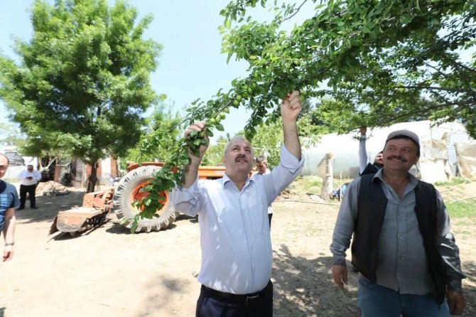 Gebze Belediyesi’nden Çiftçilere 200 Bin Fide Desteği