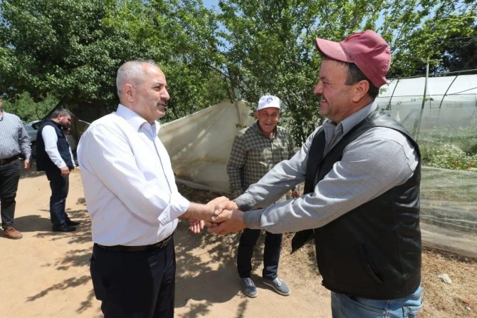 Gebze Belediyesi’nden Çiftçilere 200 Bin Fide Desteği