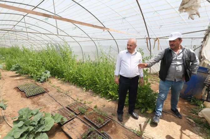 Gebze Belediyesi’nden Çiftçilere 200 Bin Fide Desteği