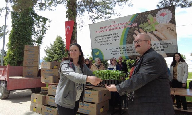 Erzincan’da Kadın Çiftçilere Fide Desteği