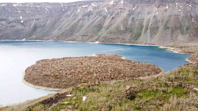 Nemrut Kalderasında Geçen Yıl Yanan Alanlar Canlanmaya Başladı