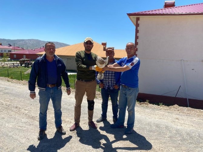 Yaralı Şah Kartalına Şefkat Eli Uzandı