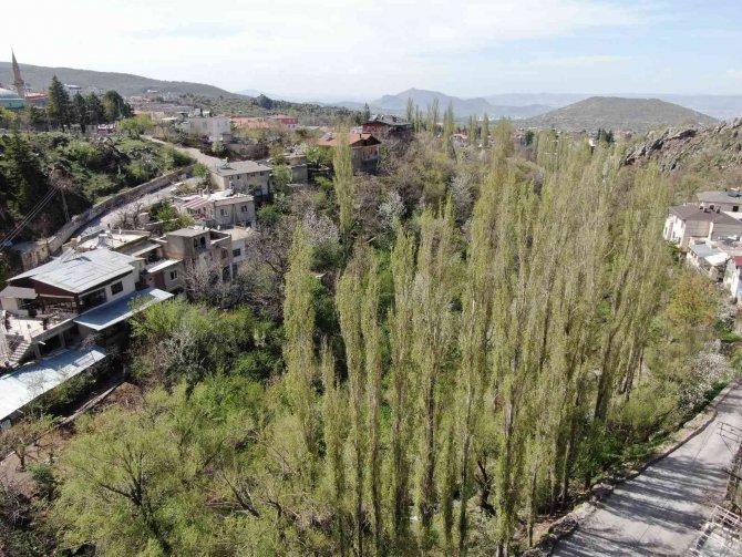 Kırlangıç Vadisi Yeşile Büründü
