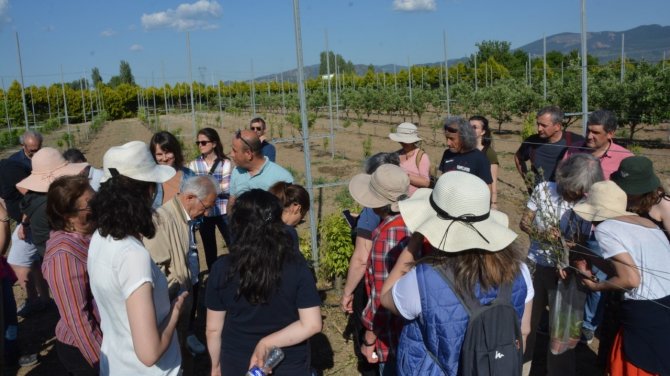 Baçem’de Uygulamalı Bahçıvanlık Kursu Tamamlandı