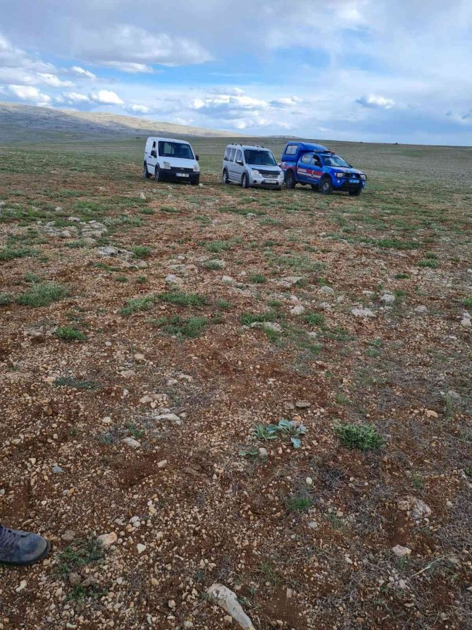 Çiftçinin Bahçesindeki 550 Kayısı Fidanını Kırıp Emeklerini Heba Ettiler