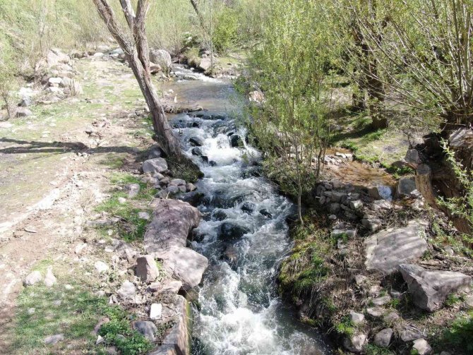 Kırlangıç Vadisi Yeşile Büründü