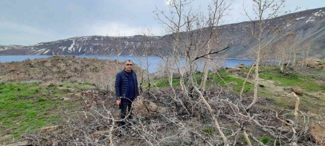 Nemrut Kalderasında Geçen Yıl Yanan Alanlar Canlanmaya Başladı