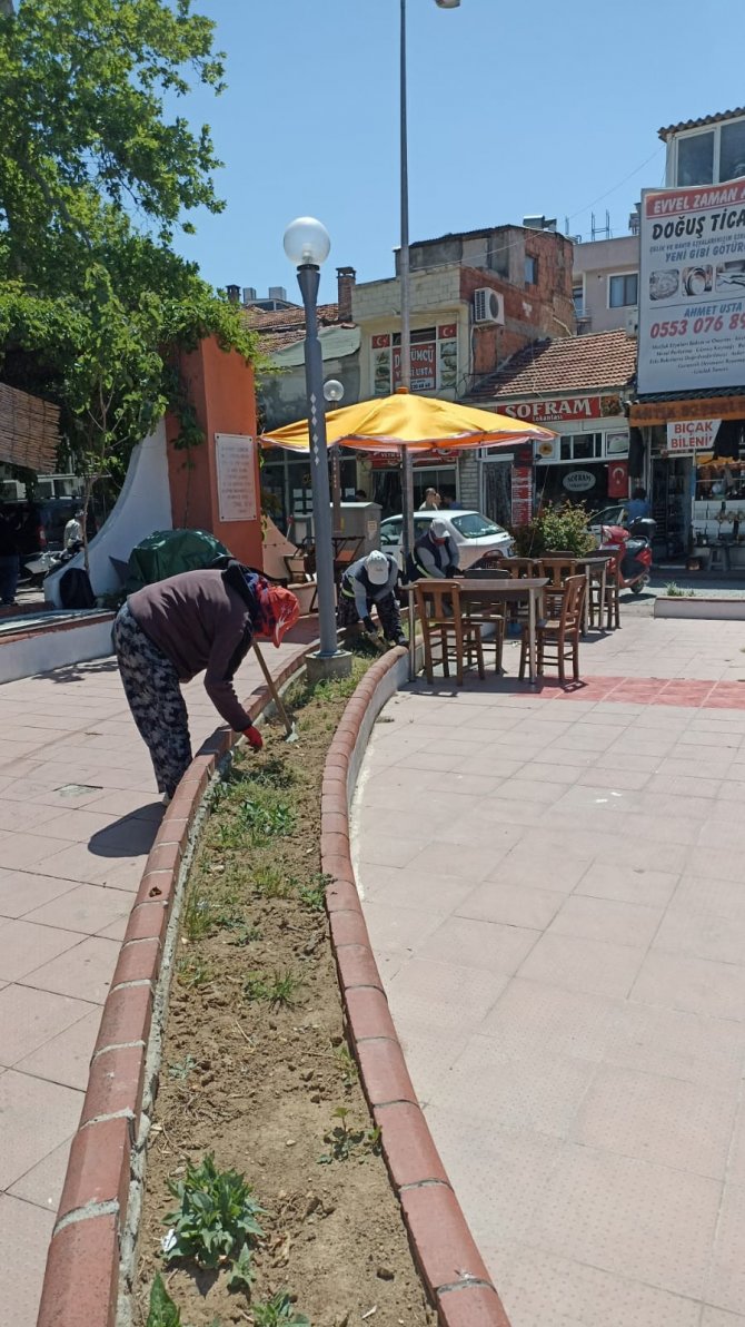 Burhaniye’de Yabani Otlar Temizleniyor