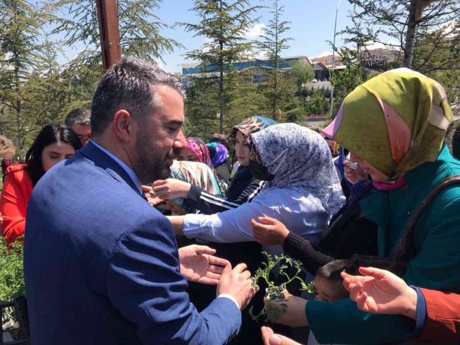 Pursaklar’da Yaklaşık 20 Bin Fide Dağıtıldı