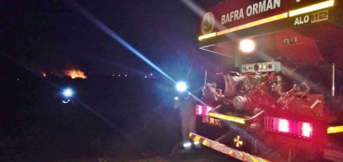 Kızılırmak Deltası’nda Çıkan Yangın Büyümeden Söndürüldü