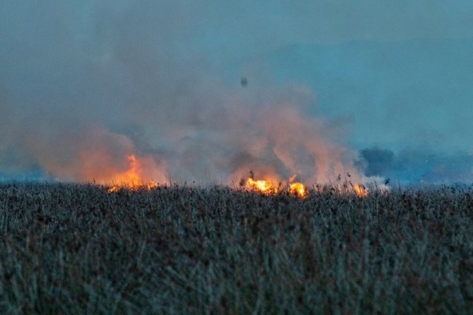 Kızılırmak Deltası’nda Çıkan Yangın Büyümeden Söndürüldü