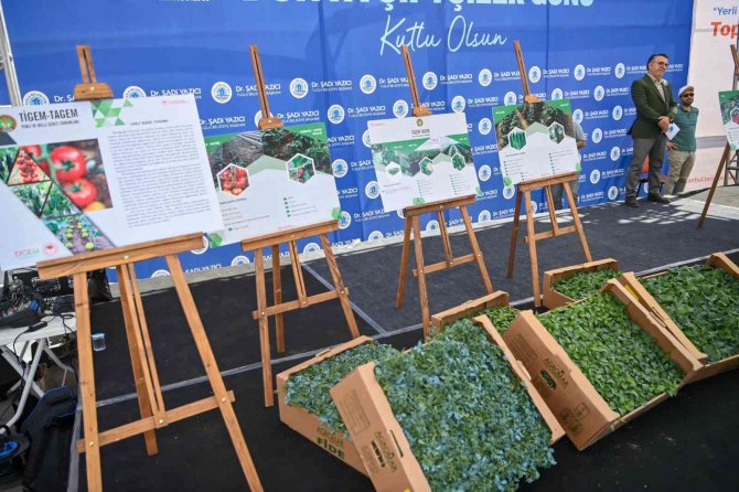 Yerli Ve Milli Fideler Tuzlalı Çiftçiler İle Buluştu