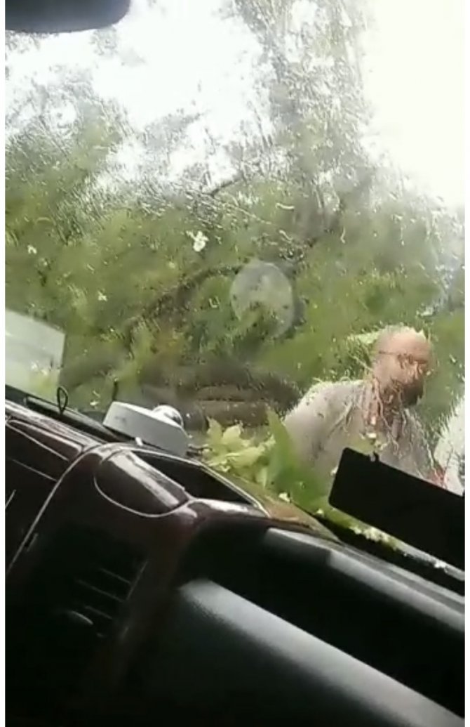 Üsküdar’da Seyir Halindeki Araçların Üzerine Ağaç Devrildi