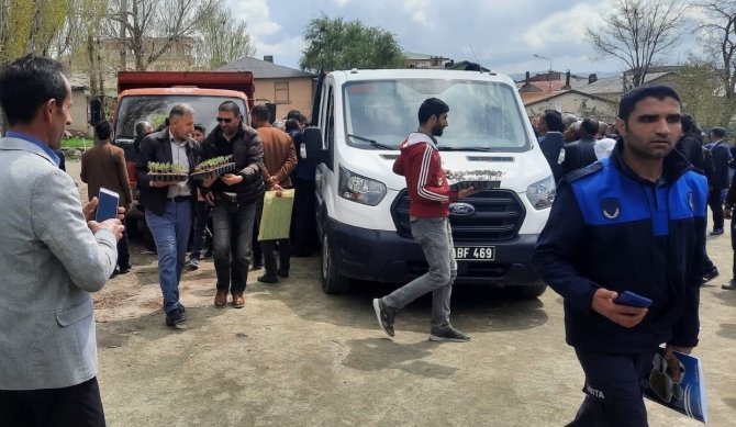 Özalp Belediyesi 30 Bin Sebze Fide Dağıttı