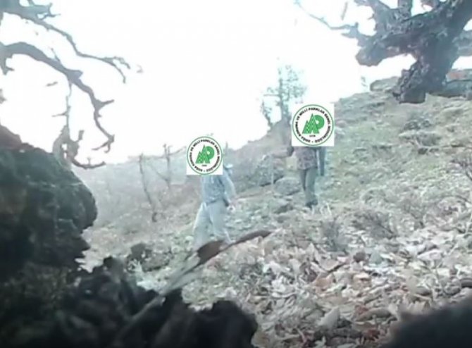 Yaban Hayatını Gözlemlemek İçin Kurulan Fotokapana Kaçak Avcılar Da Yakalandı