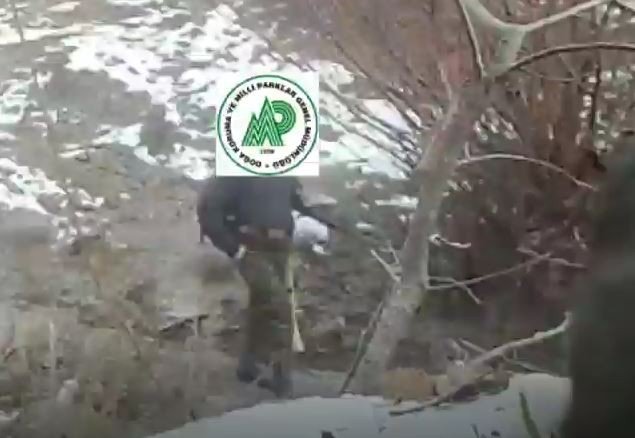 Yaban Hayatını Gözlemlemek İçin Kurulan Fotokapana Kaçak Avcılar Da Yakalandı
