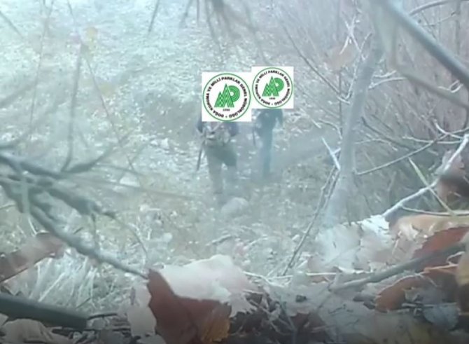 Yaban Hayatını Gözlemlemek İçin Kurulan Fotokapana Kaçak Avcılar Da Yakalandı