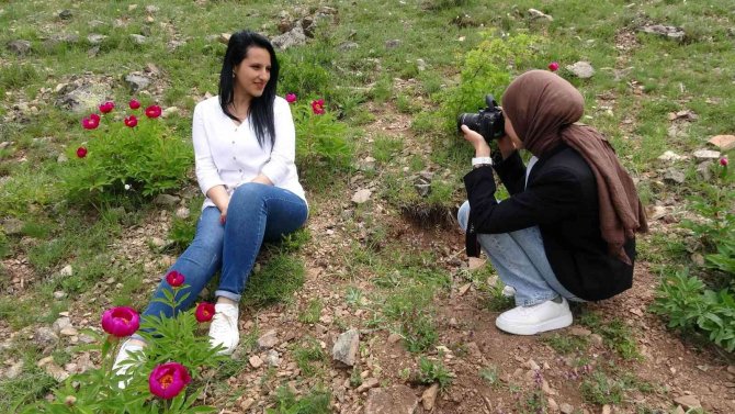 Sadece 15 Gün Ömrü Olan Cehrilik Lalesi Doğayı Renklendirdi