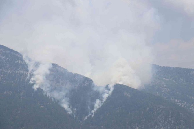 Alanya’da Orman Yangını