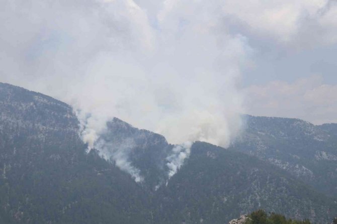 Alanya’da Orman Yangını