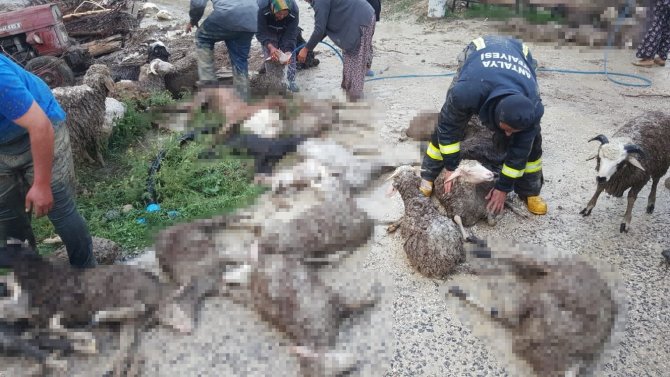 Antalya’da Selde 48 Küçükbaş Hayvan Telef Oldu