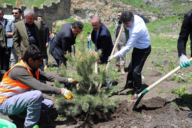 Ardahan Belediyesinden Hatıra Ormanı