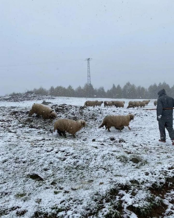 Ordu’da Mayıs Ortasında Yağan Kar Şaşırttı