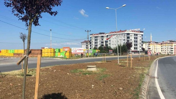 Dekora Uymadığı İçin Ağaçları Söken Chp’li Belediye Daha Önce De Binlerce Ağacı Sökmüş